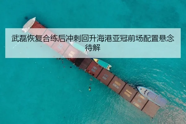 武磊恢复合练后冲刺回升海港亚冠前场配置悬念待解